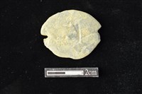 藏品(網墜)的圖片