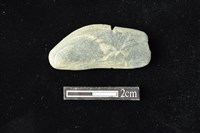 藏品(網墜)的圖片