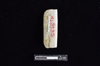 藏品(錛鑿形器)的圖片