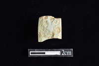 藏品(錛鑿形器)的圖片