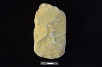 藏品(斧鋤形器)的圖片