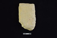 藏品(斧鋤形器)的圖片