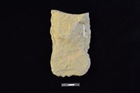 藏品(斧鋤形器)的圖片