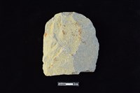 藏品(斧鋤形器)的圖片