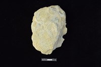 藏品(斧鋤形器)的圖片