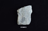 藏品(戈形器)的圖片