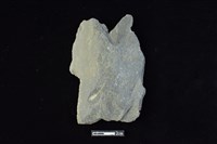 藏品(戈形器)的圖片