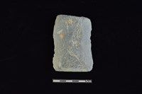 藏品(戈形器)的圖片