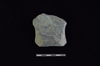 藏品(戈形器)的圖片