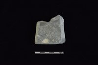 藏品(戈形器)的圖片