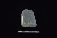 藏品(矛鏃形器)的圖片