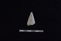 藏品(矛鏃形器)的圖片