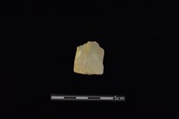 藏品(矛鏃形器)的圖片