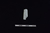 藏品(矛鏃形器)的圖片