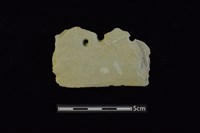 藏品(石刀)的圖片