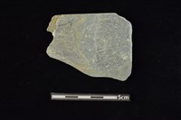 藏品(石鐮)的圖片