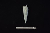 藏品(尖狀器)的圖片