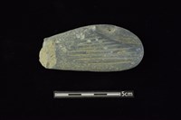 藏品(有槽石棒)的圖片