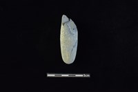 藏品(石鎚)的圖片