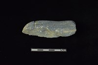 藏品(網墜)的圖片