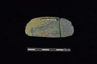 藏品(網墜)的圖片