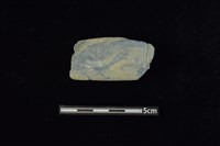 藏品(網墜)的圖片