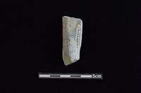 藏品(石鎚)的圖片