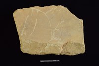 藏品(砥石)的圖片