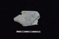 藏品(穿孔石板)的圖片