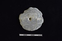 藏品(穿孔石板)的圖片