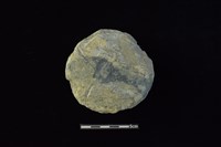 藏品(石圓片)的圖片