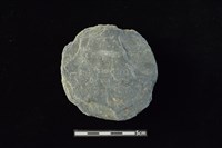 藏品(石圓片)的圖片