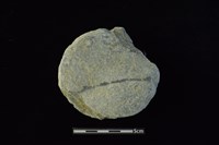 藏品(石圓片)的圖片