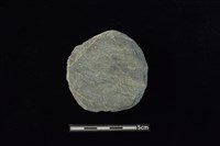 藏品(石圓片)的圖片