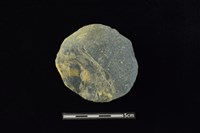 藏品(石圓片)的圖片