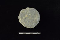 藏品(石圓片)的圖片