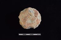 藏品(石圓片)的圖片