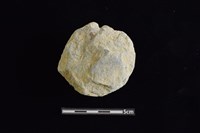 藏品(石圓片)的圖片