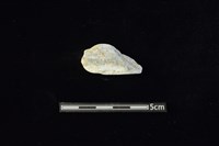 藏品(玉料)的圖片