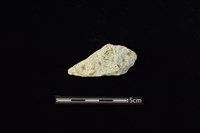 藏品(玉料)的圖片