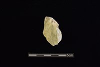 藏品(玉料)的圖片