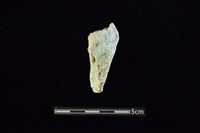 藏品(玉料)的圖片