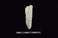 藏品(玉料)的圖片