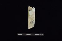 藏品(玉料)的圖片