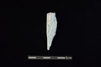 藏品(玉料)的圖片