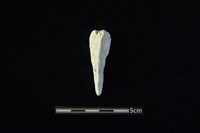 藏品(玉料)的圖片