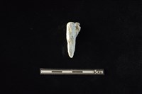 藏品(玉料)的圖片