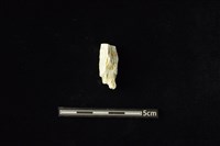 藏品(玉料)的圖片