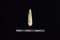 藏品(玉料)的圖片