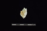 藏品(玉料)的圖片